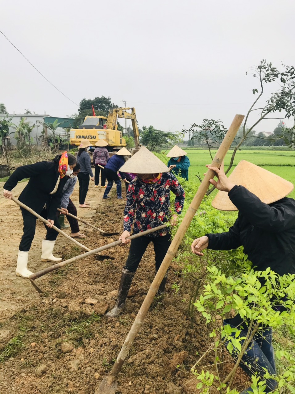 lao động 1